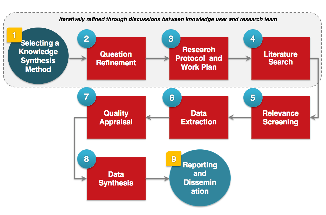 Systematic Review Process Diagram